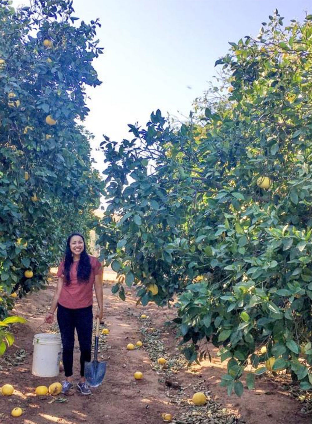 Liz Gonzalez (recent UCR graduate) in the field, © M. Sankovitz