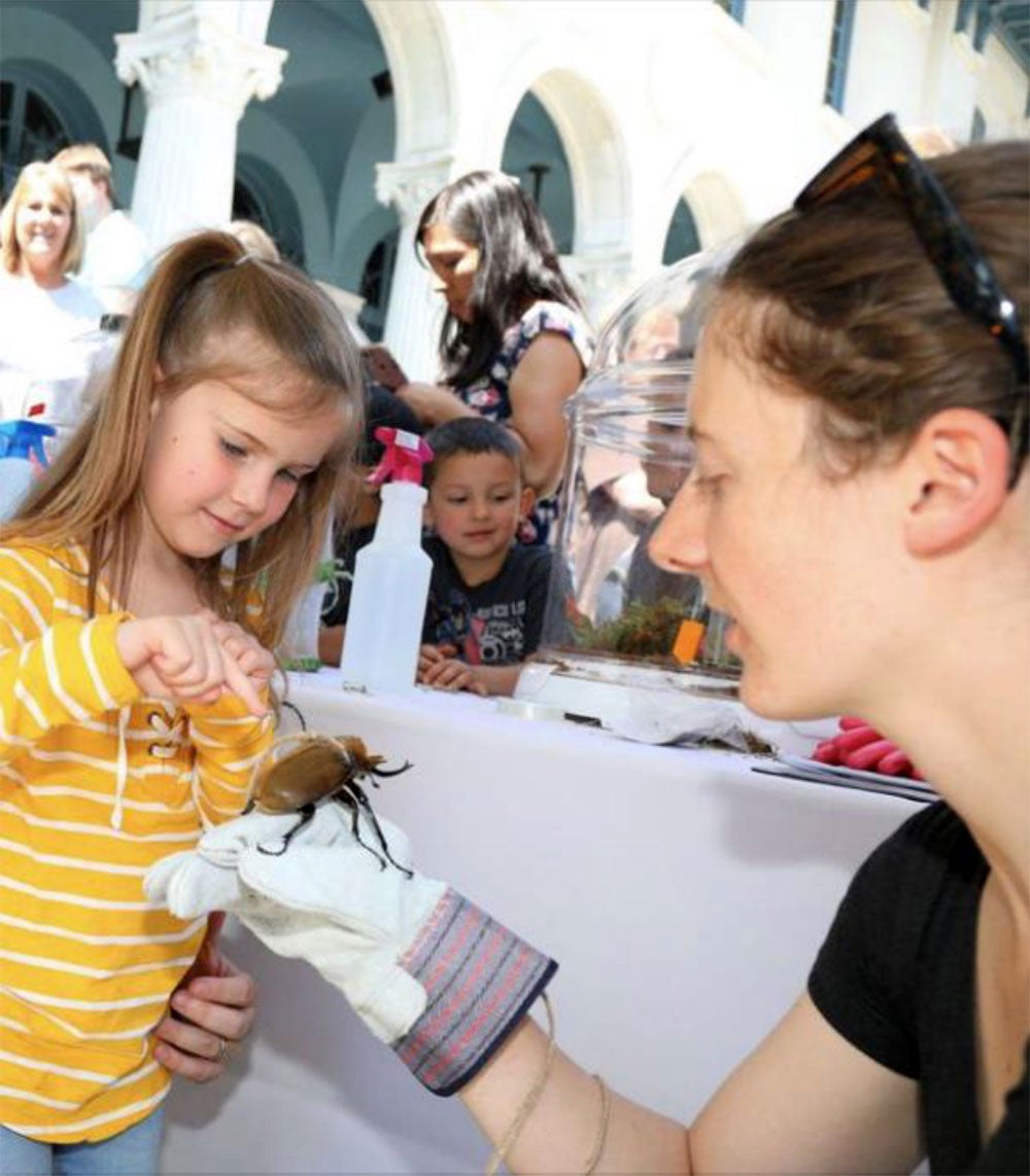 Riverside Insect Fair Riverside Insect Fair!